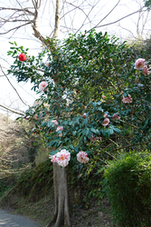 DSC06279_R