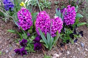 DSCF1820_R