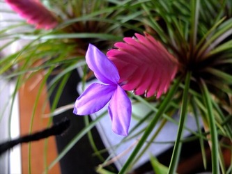 DSCF6237_R