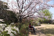 DSCF1933_R