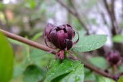 DSCF1257_R