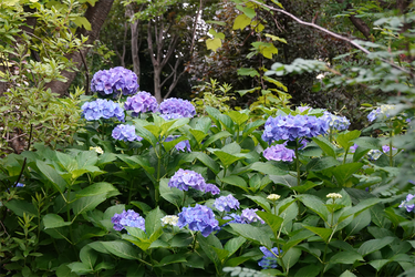 DSC08364_R