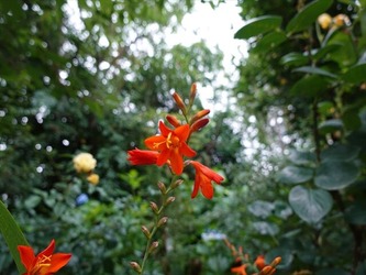 DSC01176_R