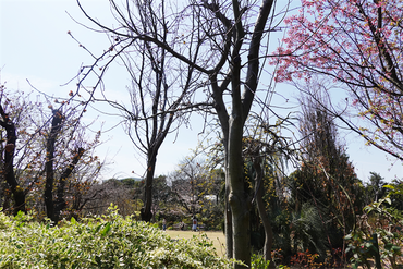 DSC06186_R