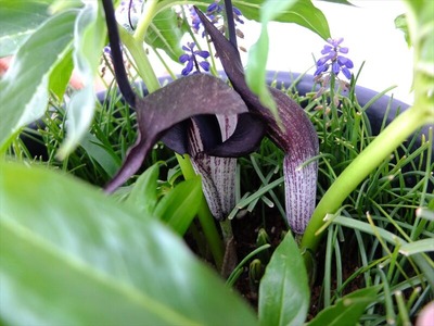 DSCF1712_R