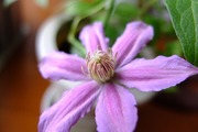 DSCF5474_R