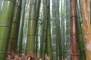 DSCF7427_R