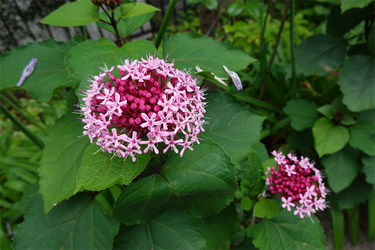 DSC08726_R