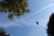 DSCF0604_R
