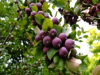 DSCF8540_R