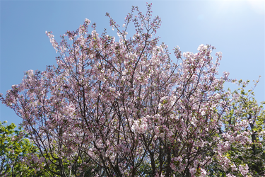 DSC06607_R