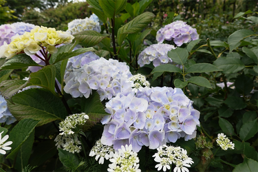 DSC01482_R
