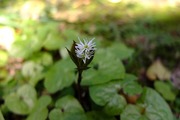 DSCF0541_R