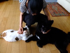 DSCF9630_R