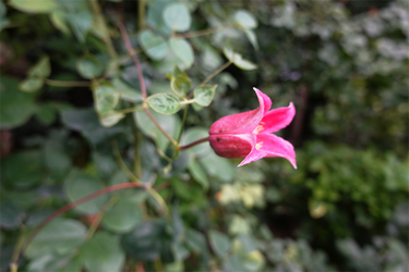 DSC09274_R