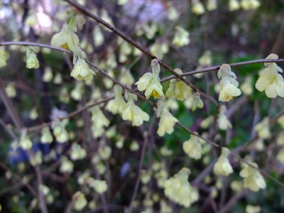 DSCF4733_R