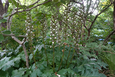 DSC08365_R