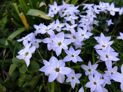 DSCF4874_R