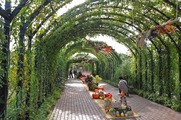 DSCF6516_R
