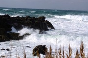 DSCF7725_R