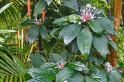 DSCF9246_R