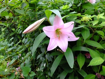 DSCF3410_R