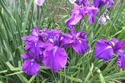 DSCF2947_R