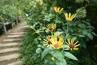 DSC09042_R