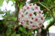 DSCF4316_R