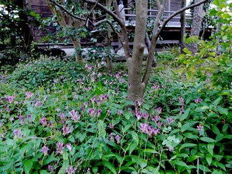 DSCF6365_R