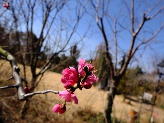 DSCF8292_R