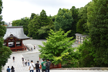 DSC07397_R