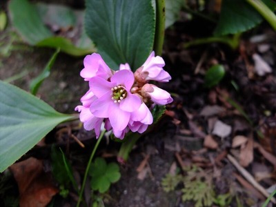 DSCF1218_R