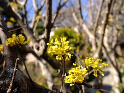 DSCF1095_R
