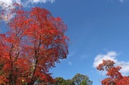 DSCF7824_R