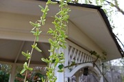 DSCF1772_R