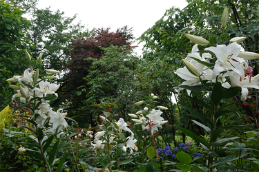 DSC08535_R