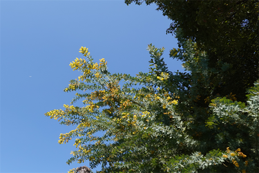DSC05919_R