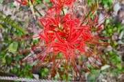 DSCF5372_R