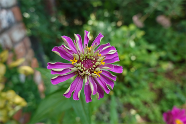 DSC09038_R