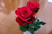 DSCF0687_R