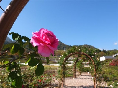 DSCF5371_R