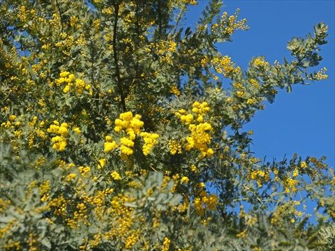 DSCF5487_R
