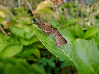 DSCF6186_R