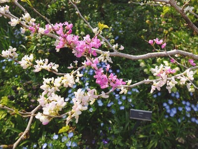 DSCF1749_R