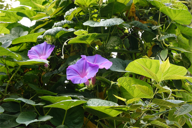 DSC08113_R