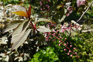 DSC06652_R