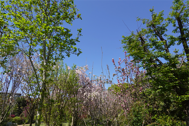 DSC06642_R