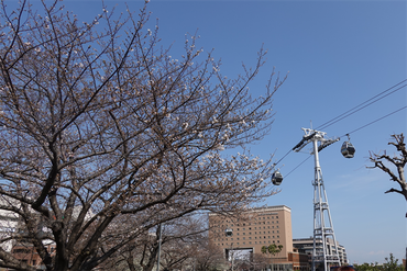 DSC06294_R