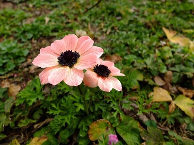DSCF1671_R